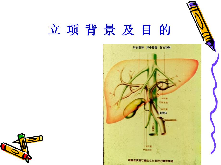 IPS技术报告课件_第3页