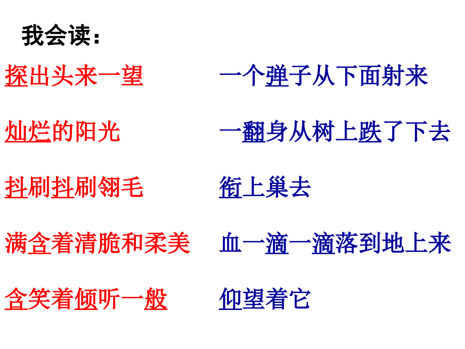 一只小鸟课件4_第2页