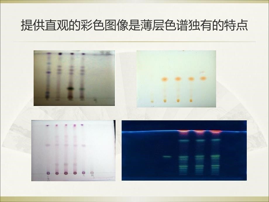 《中国药典》薄层色谱的基本要求_第5页