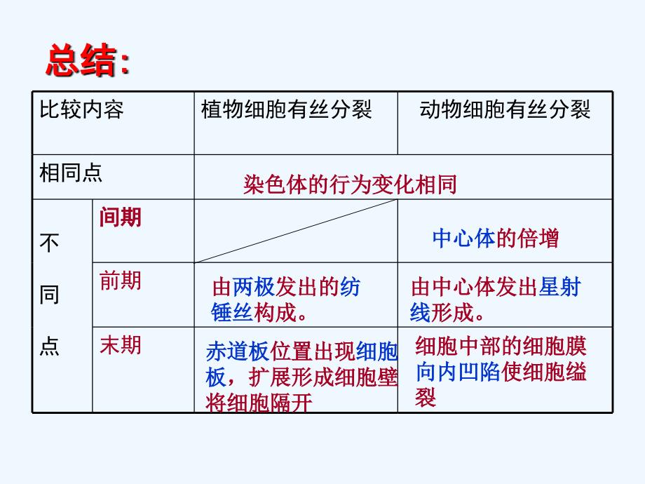 动植物细胞有丝分裂异同_第3页