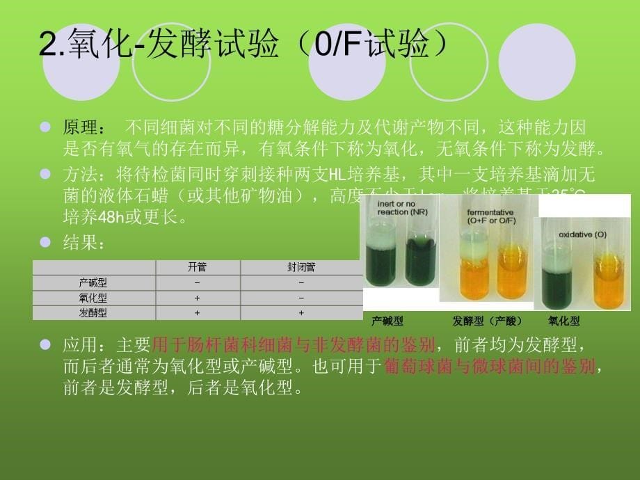 细菌的常用生化试验_第5页