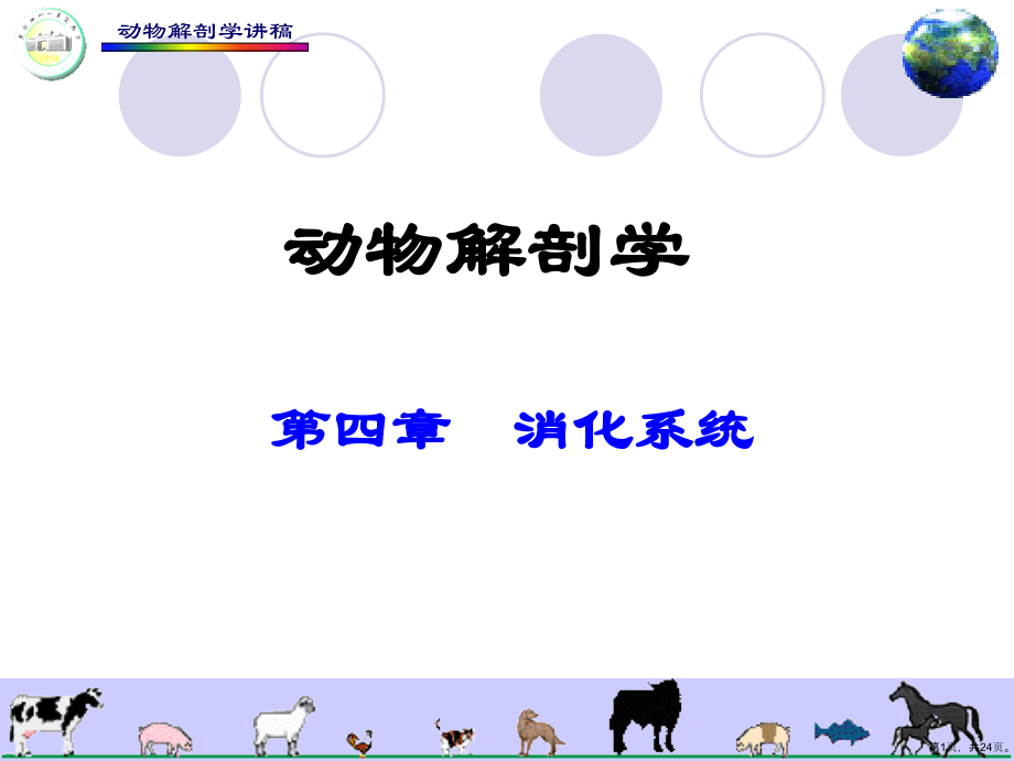 动物解剖学消化系统课件_第1页