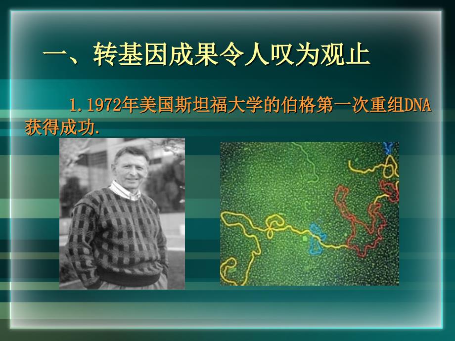 转基因生物的安全性.ppt_第2页