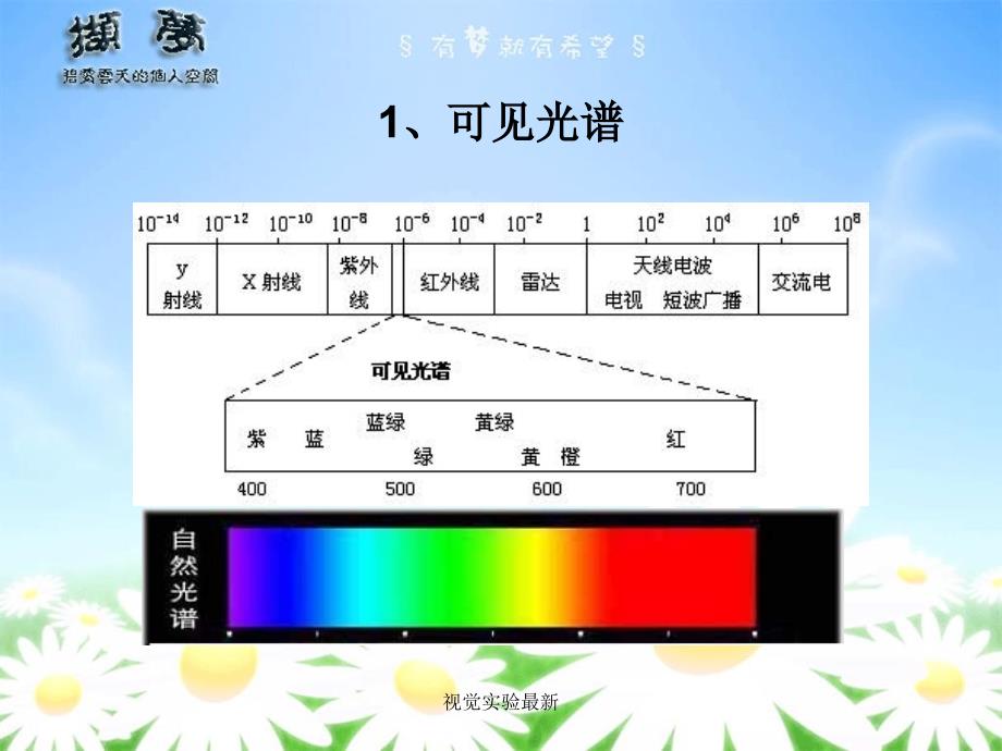 视觉实验最新课件_第3页