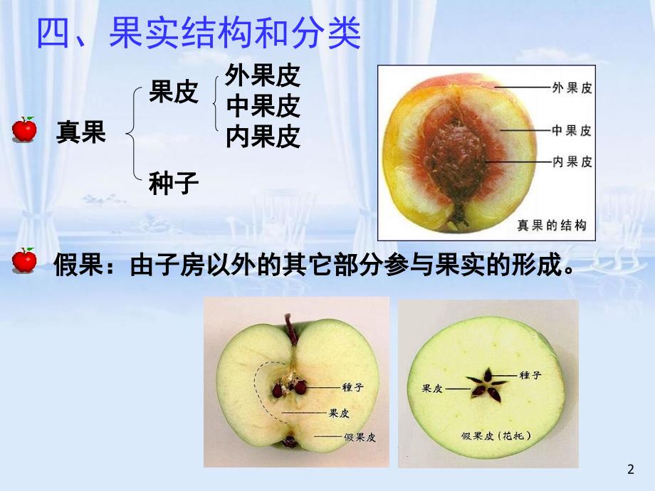 植物检疫培训之检疫性杂草PPT64页_第2页