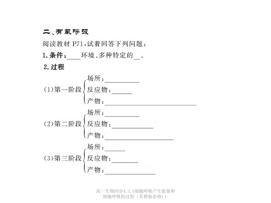 高一生物同步4.3.1细胞呼吸产生能量和细胞呼吸的过程（苏教版必修1）课件_第4页