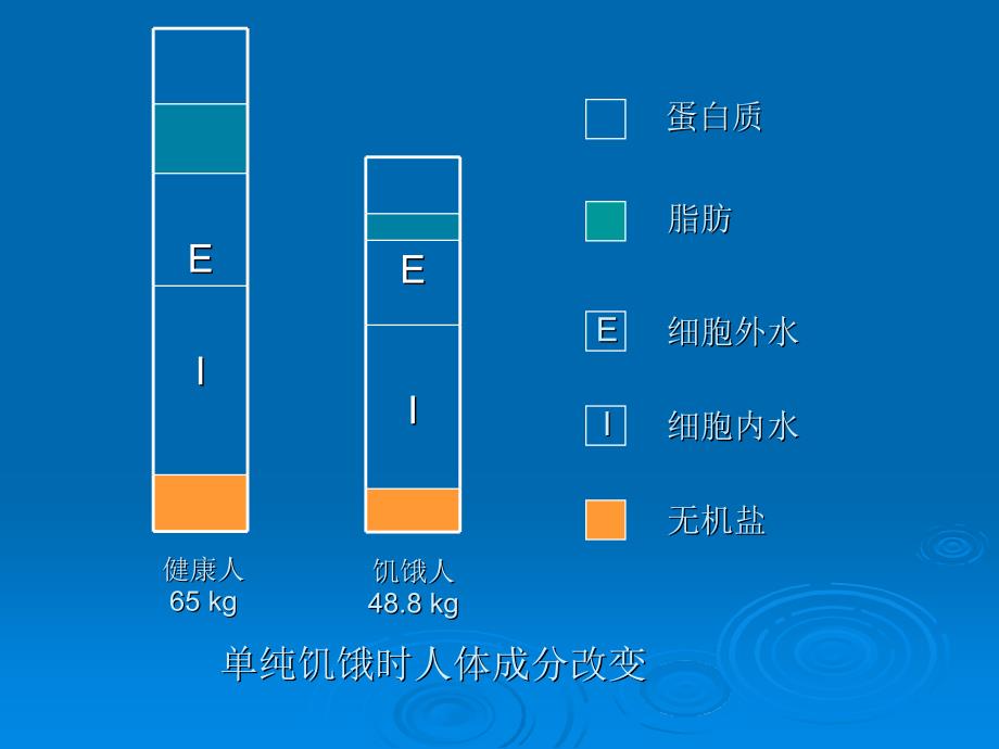 临床病人的营养评价PPT课件_第2页