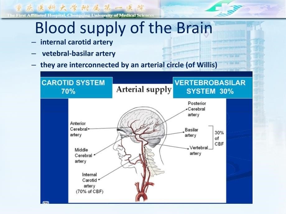 神经病学课件：Cerebrovascular Diseases_第5页