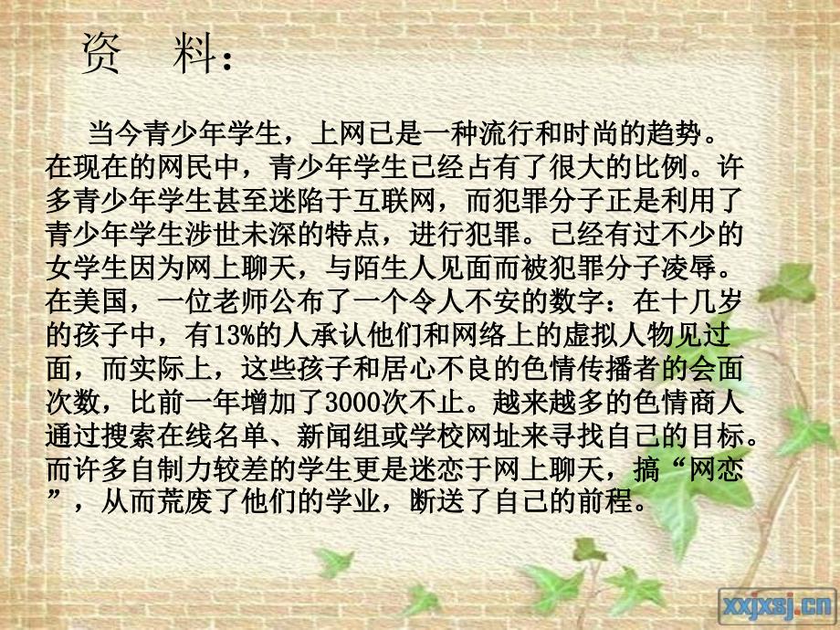 小学综合实践活动《我与网络》.ppt_第4页