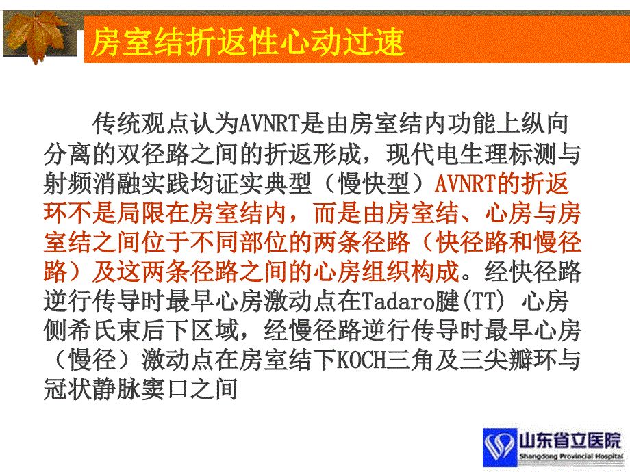 陈良华-房室结折返性心动过速的射频消融_第2页