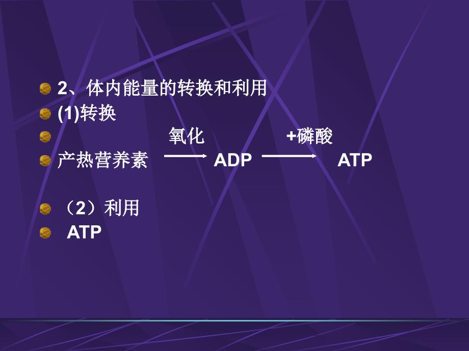 营养师培训营养学基础2能量教学提纲_第2页