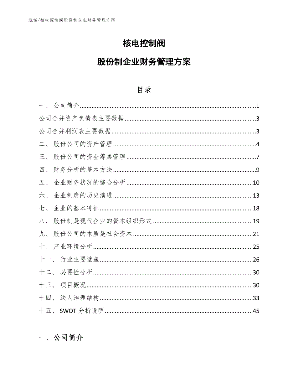 核电控制阀股份制企业财务管理方案_第1页