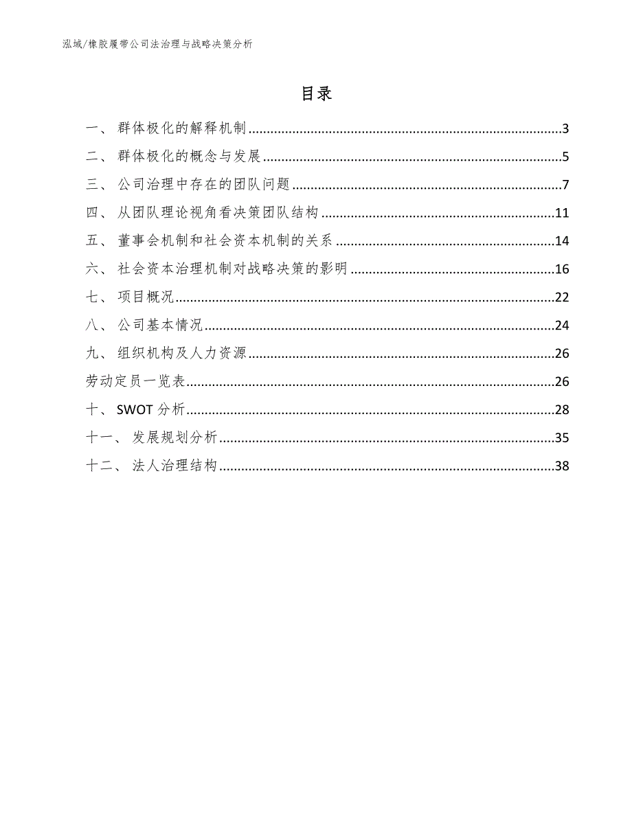 橡胶履带公司法治理与战略决策分析_范文_第2页