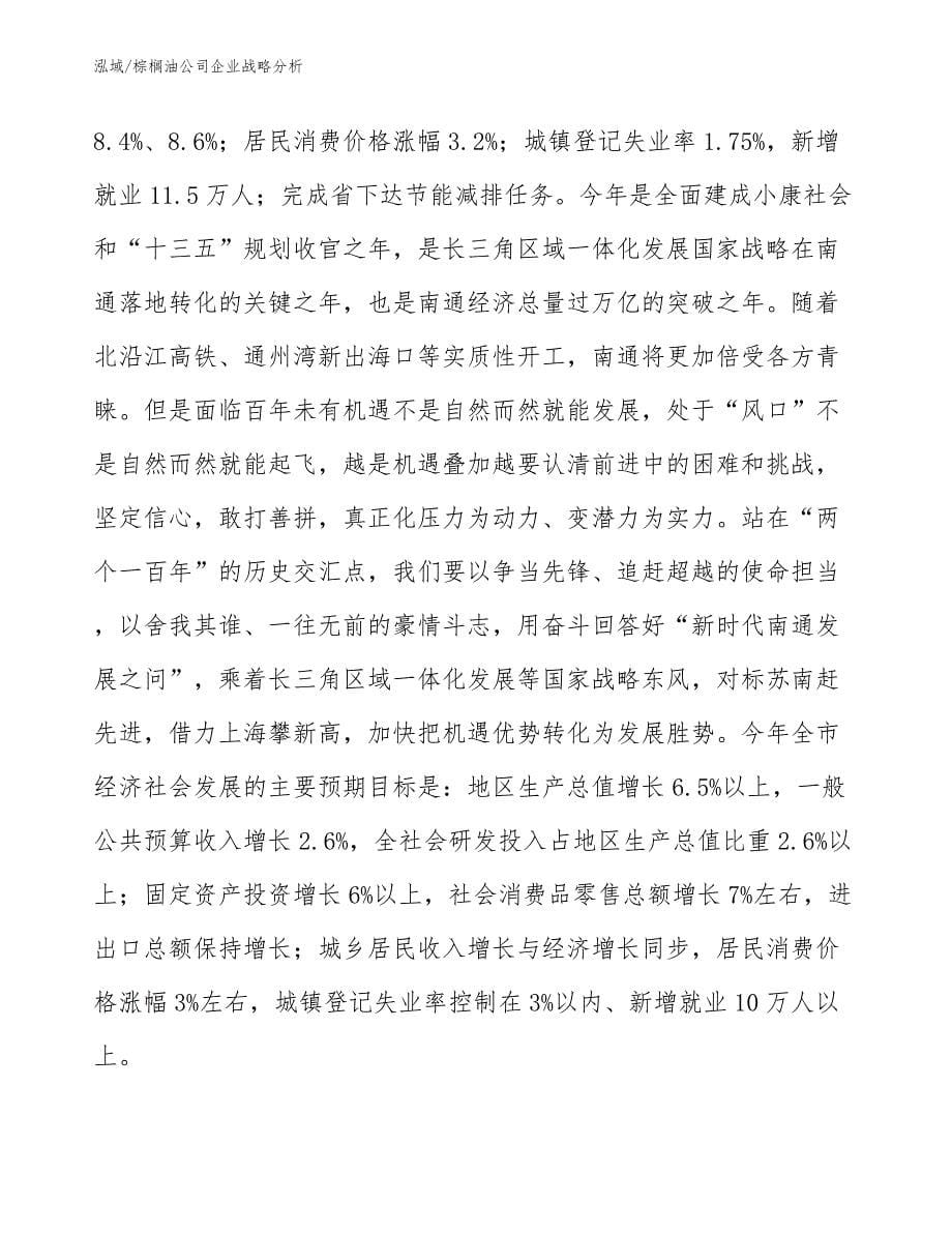 棕榈油公司企业战略分析（参考）_第5页