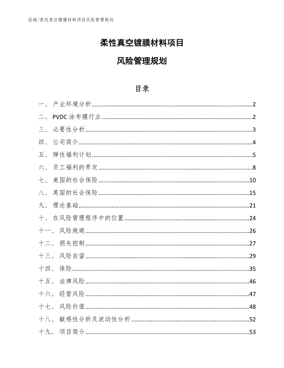 柔性真空镀膜材料项目风险管理规划【范文】_第1页