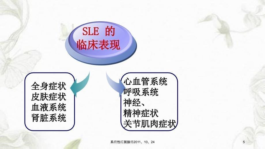 系统性红斑狼疮1024课件_第5页