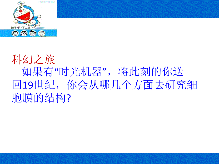 42生物膜的流动镶嵌模型yxl_第3页