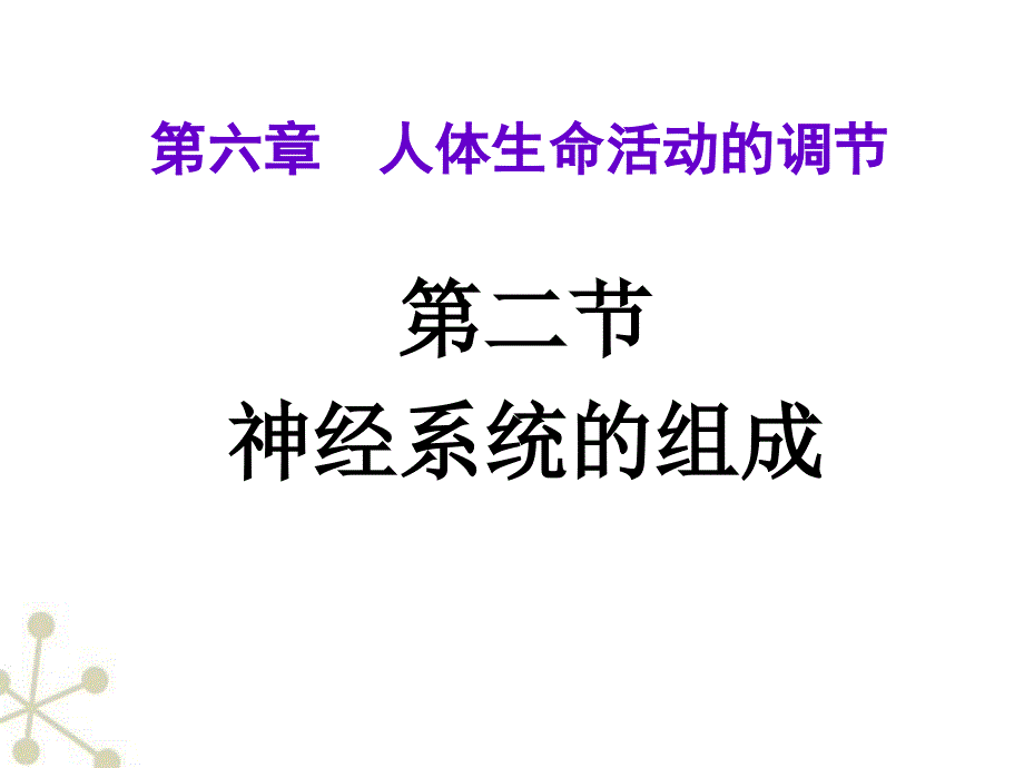 生物下册神经系统的组成课件人教_第2页