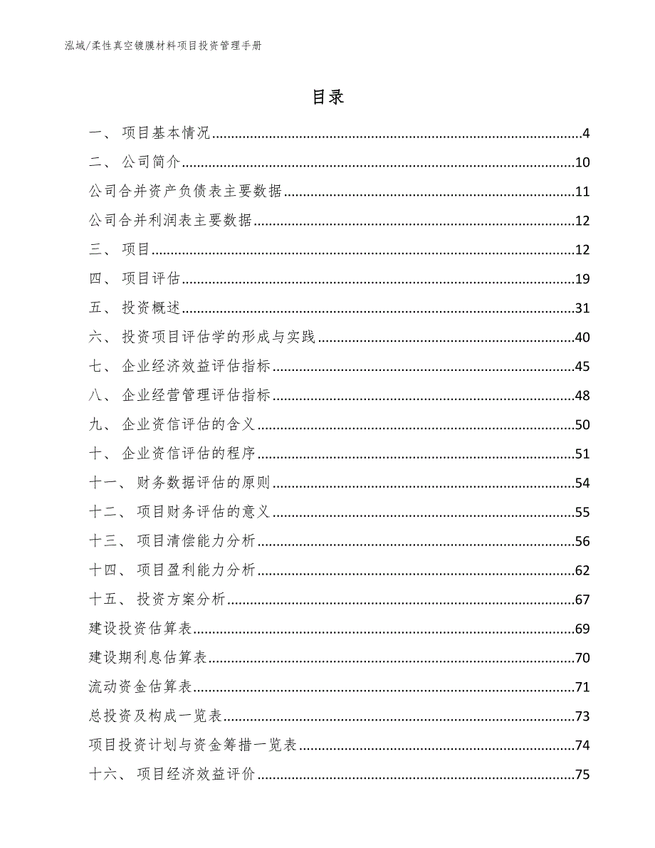 柔性真空镀膜材料项目投资管理手册_第2页