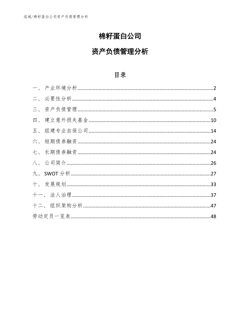 棉籽蛋白公司资产负债管理分析（范文）_第1页