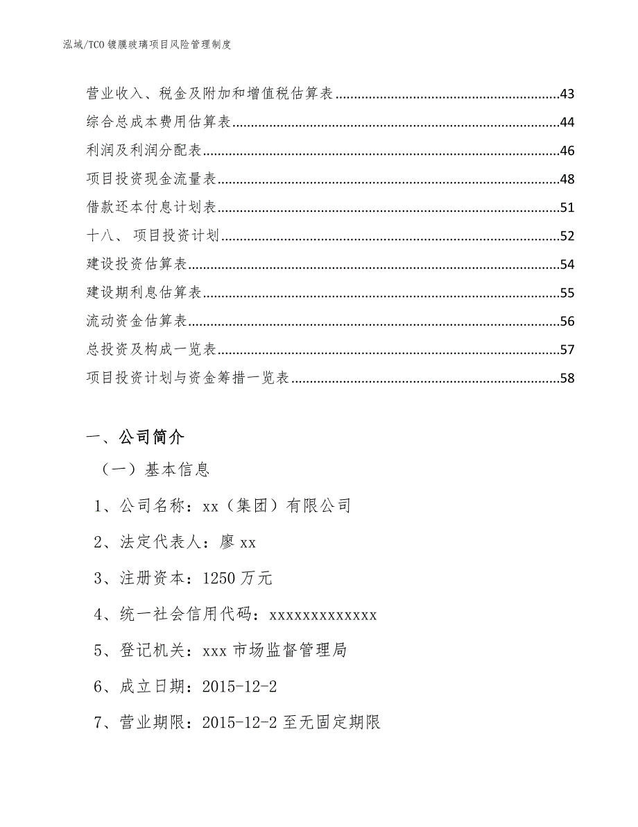 TCO镀膜玻璃项目风险管理制度_第2页