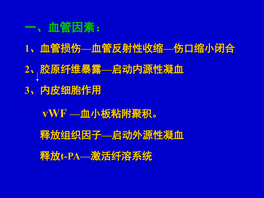 《出血性疾病》PPT课件_第4页