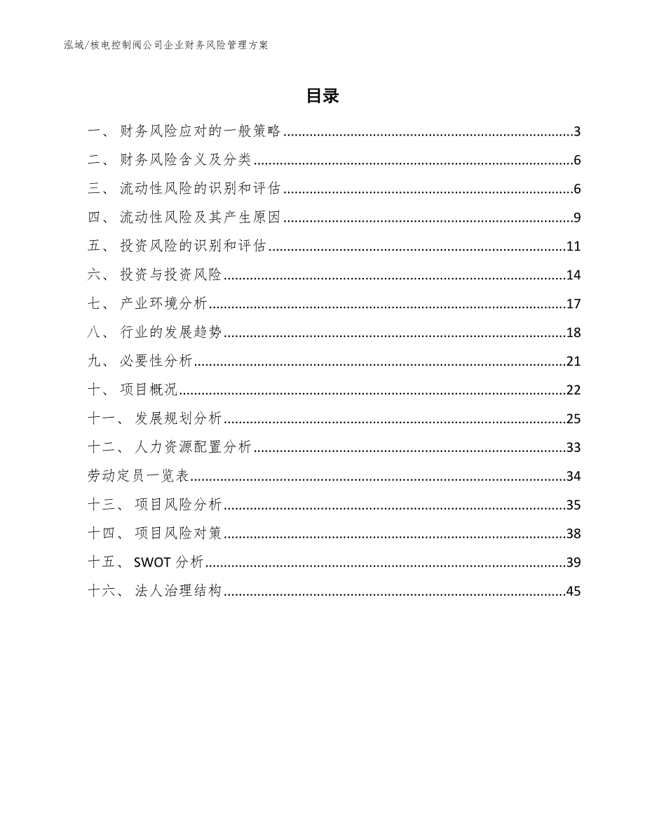 核电控制阀公司企业财务风险管理方案_参考_第2页