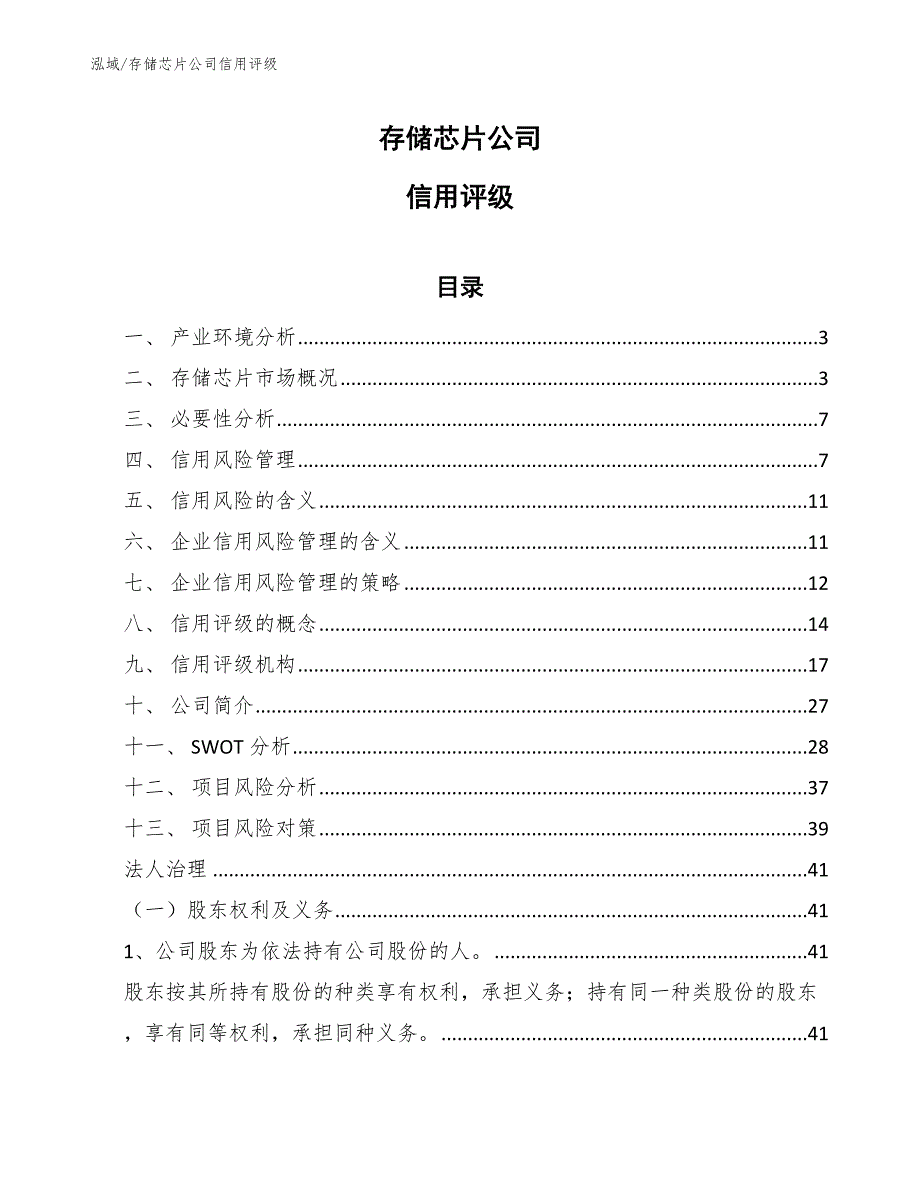 存储芯片公司信用评级_范文_第1页