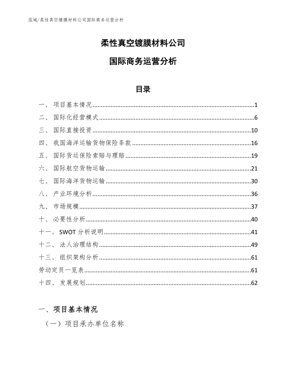 柔性真空镀膜材料公司国际商务运营分析_第1页