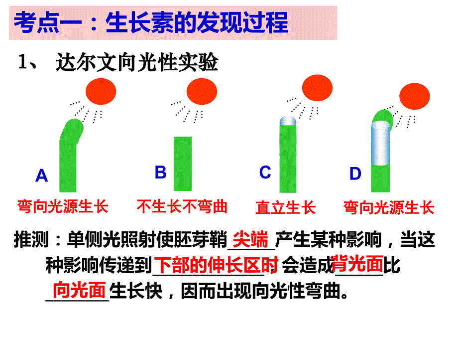 高三生物一轮复习植物的激素调节_第2页