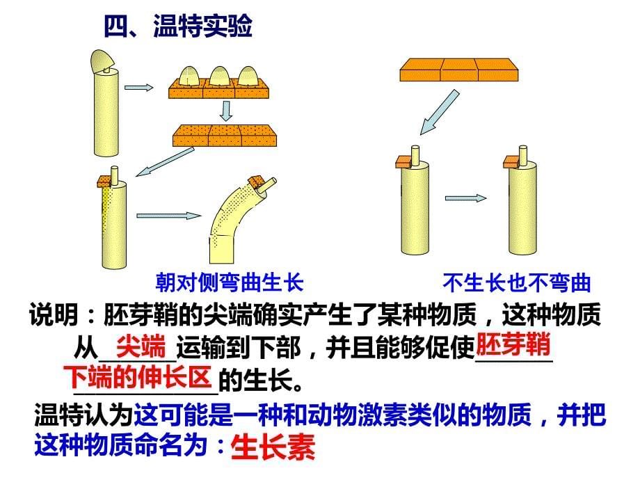 高三生物一轮复习植物的激素调节_第5页