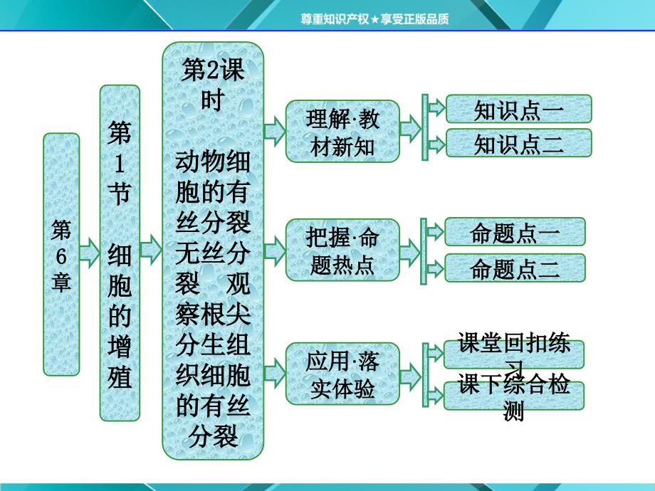 第1部分第6章第1节第2课时动物细胞的有丝分裂无丝分裂观察根尖分生组织细胞的有丝分裂_第1页