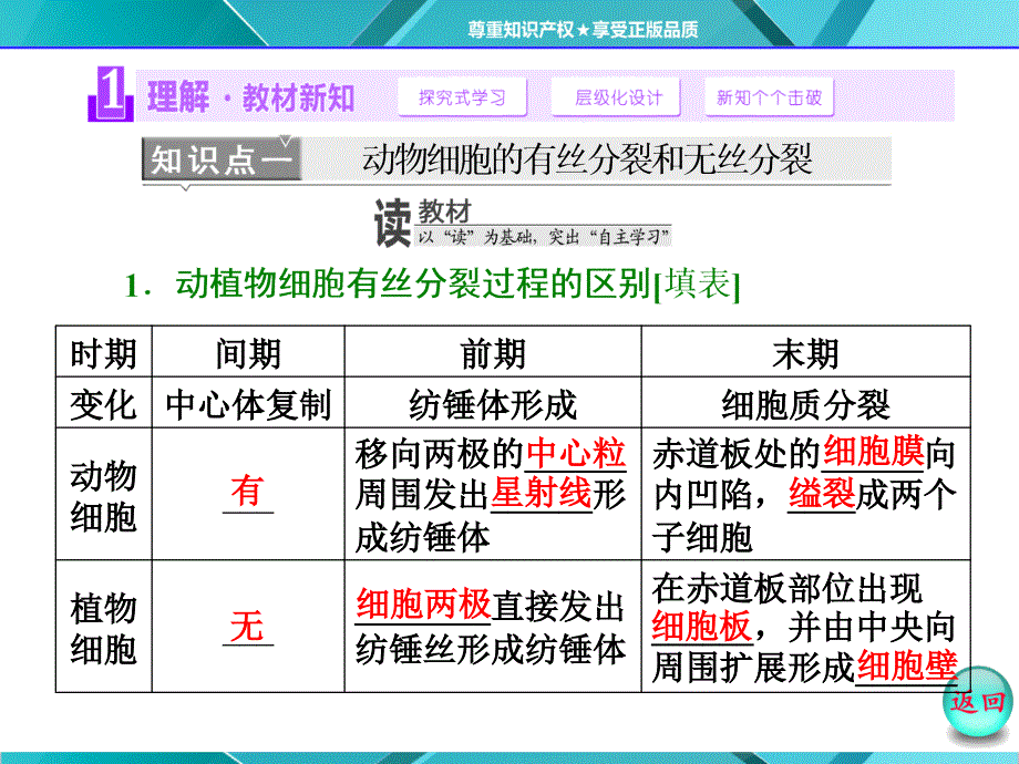 第1部分第6章第1节第2课时动物细胞的有丝分裂无丝分裂观察根尖分生组织细胞的有丝分裂_第4页