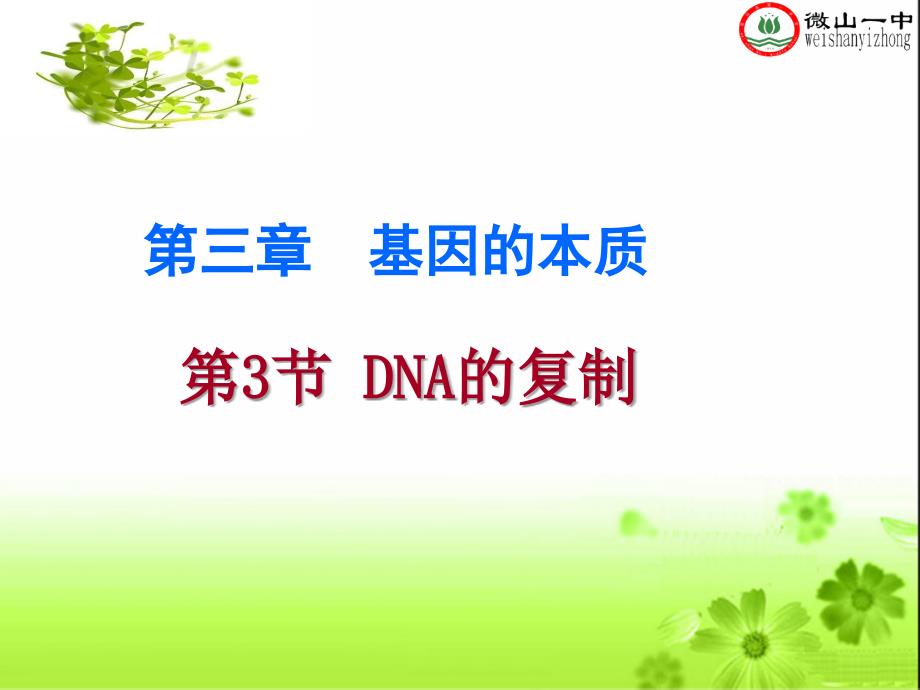 《DNA的复制复习》PPT课件.ppt_第1页