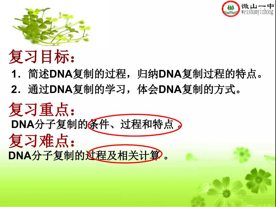 《DNA的复制复习》PPT课件.ppt_第2页