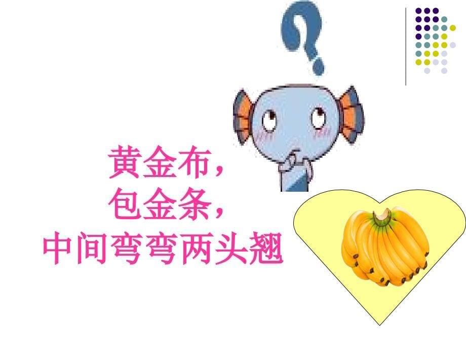 《课梨子的自述》PPT课件.ppt_第5页