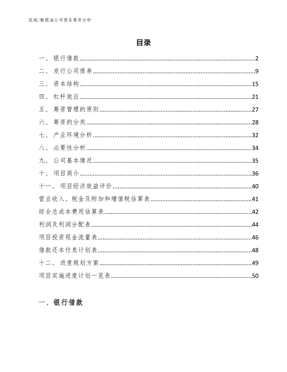 橄榄油公司债务筹资分析【范文】_第2页