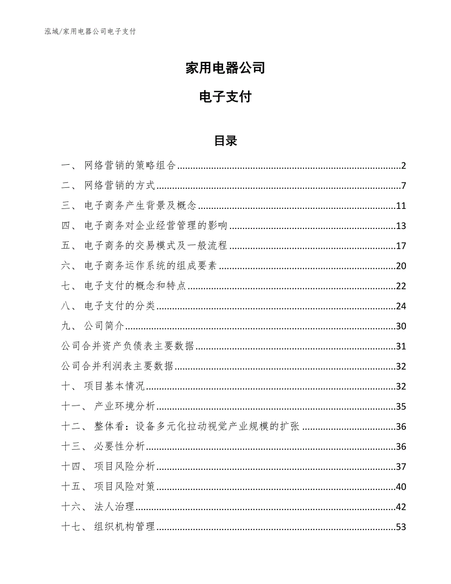 家用电器公司电子支付（参考）_第1页