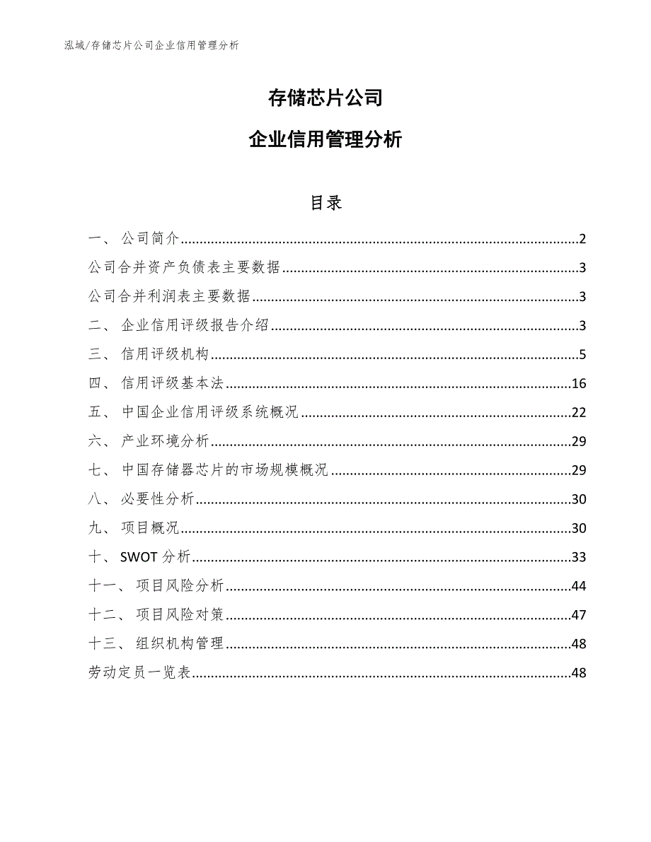 存储芯片公司企业信用管理分析（参考）_第1页