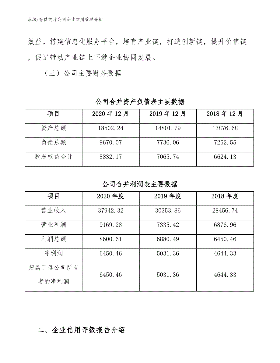 存储芯片公司企业信用管理分析（参考）_第3页