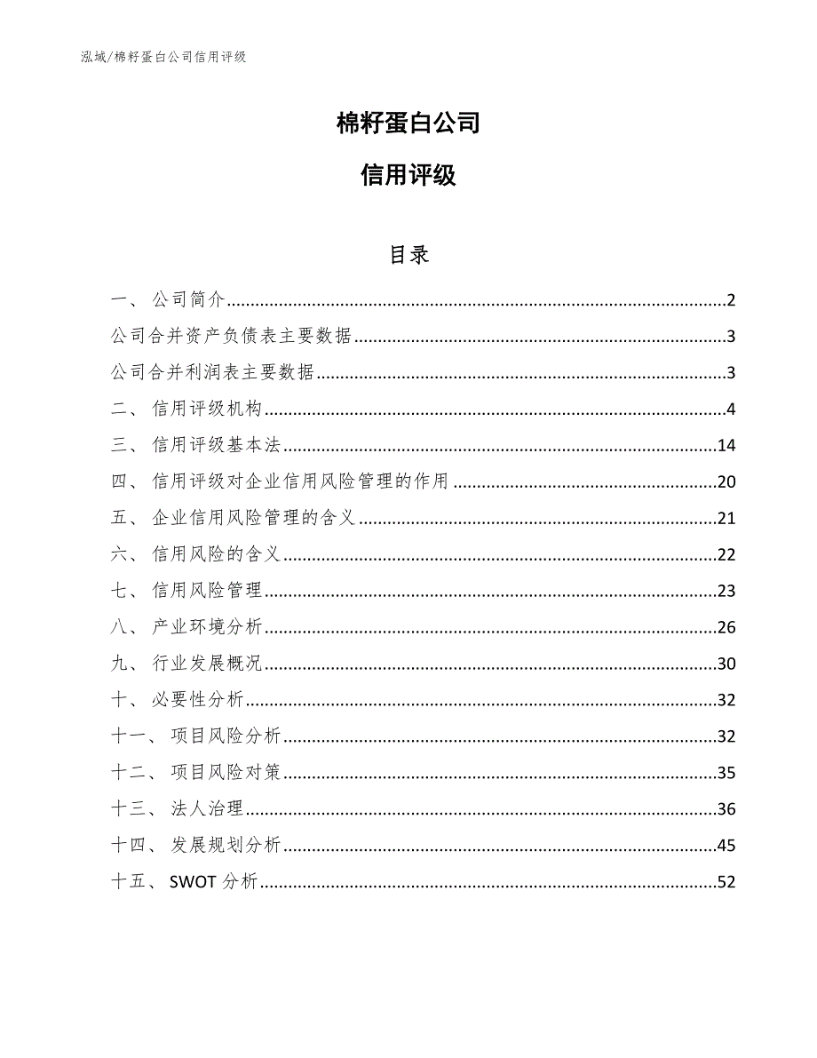 棉籽蛋白公司信用评级（范文）_第1页