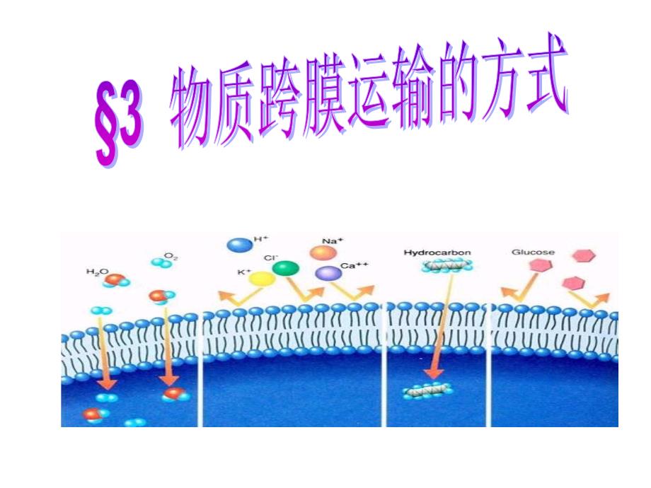 物质跨膜运输的方式 (2)_第2页