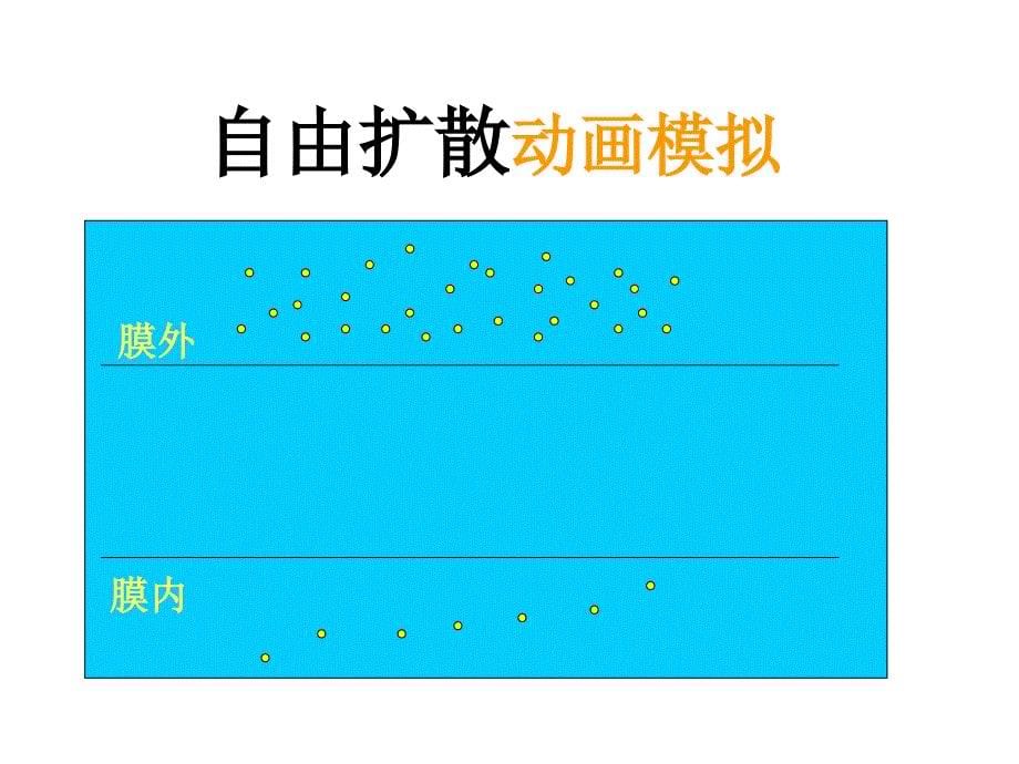 物质跨膜运输的方式 (2)_第5页