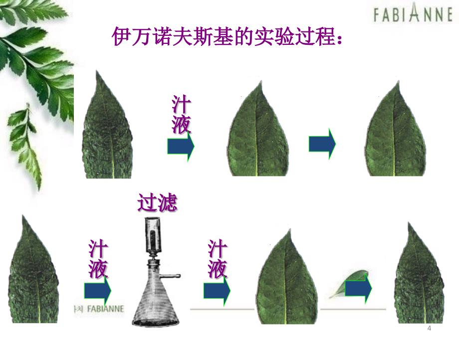 第五章病毒上课_第4页