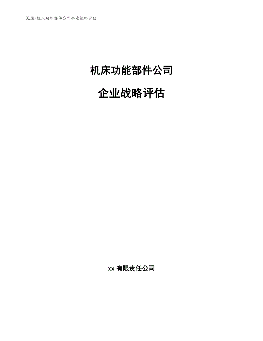 机床功能部件公司企业战略评估_第1页