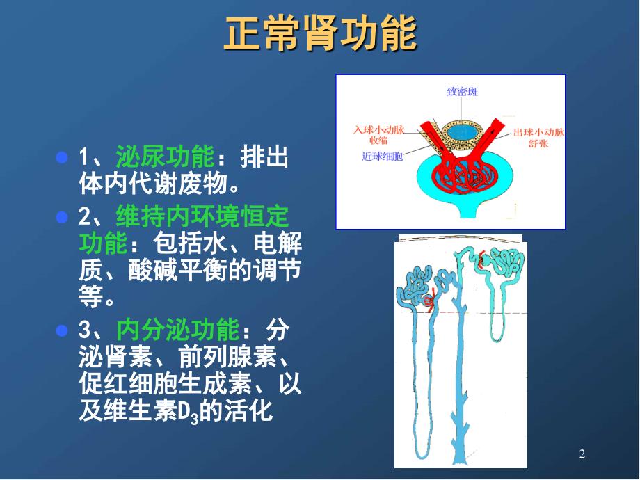 医学PPT课件急性肾损伤_第2页