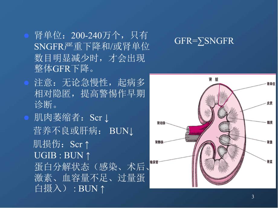 医学PPT课件急性肾损伤_第3页