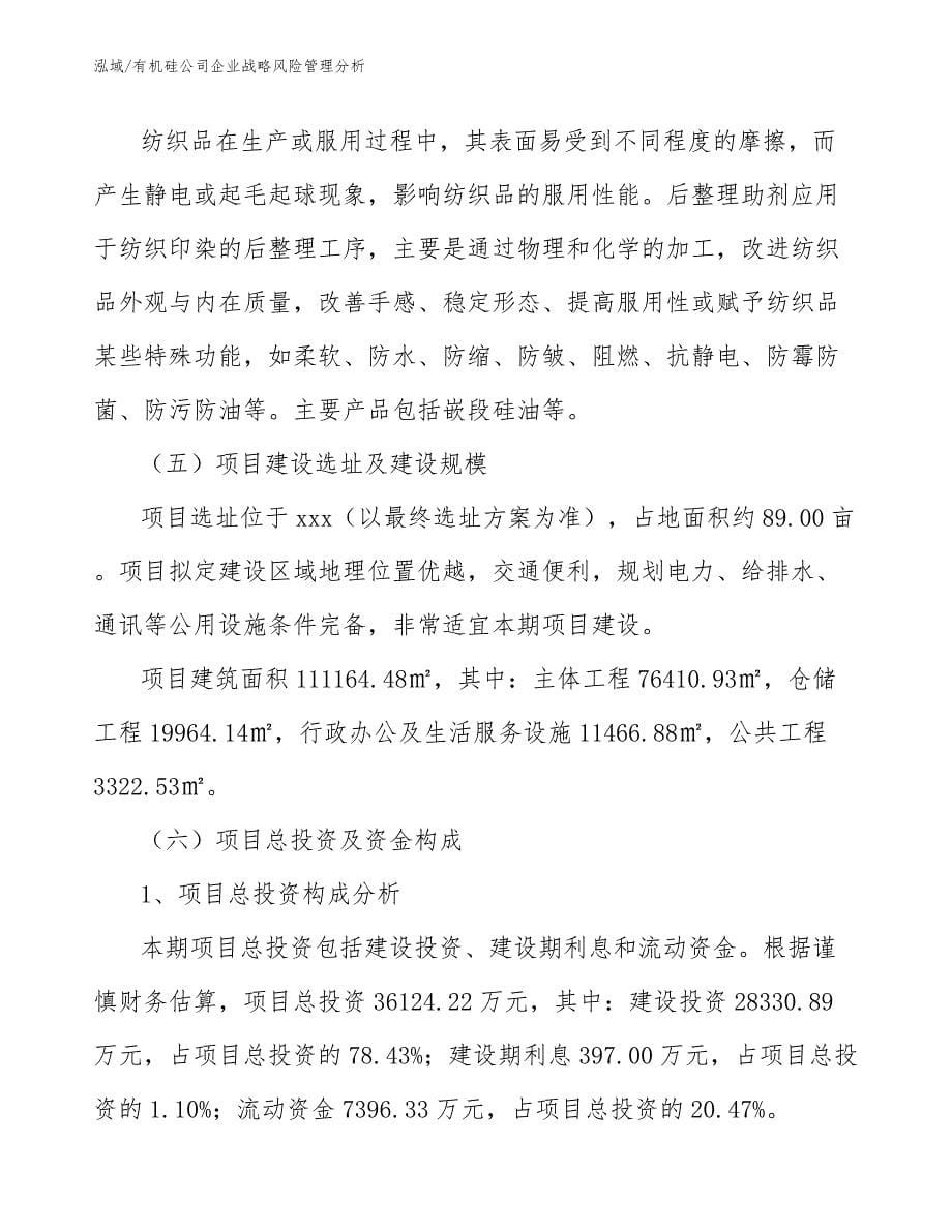 有机硅公司企业战略风险管理分析_第5页