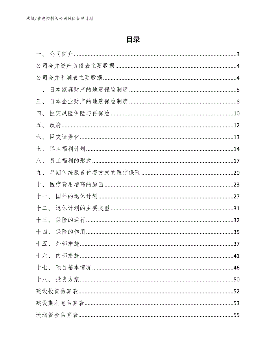 核电控制阀公司风险管理计划（范文）_第2页