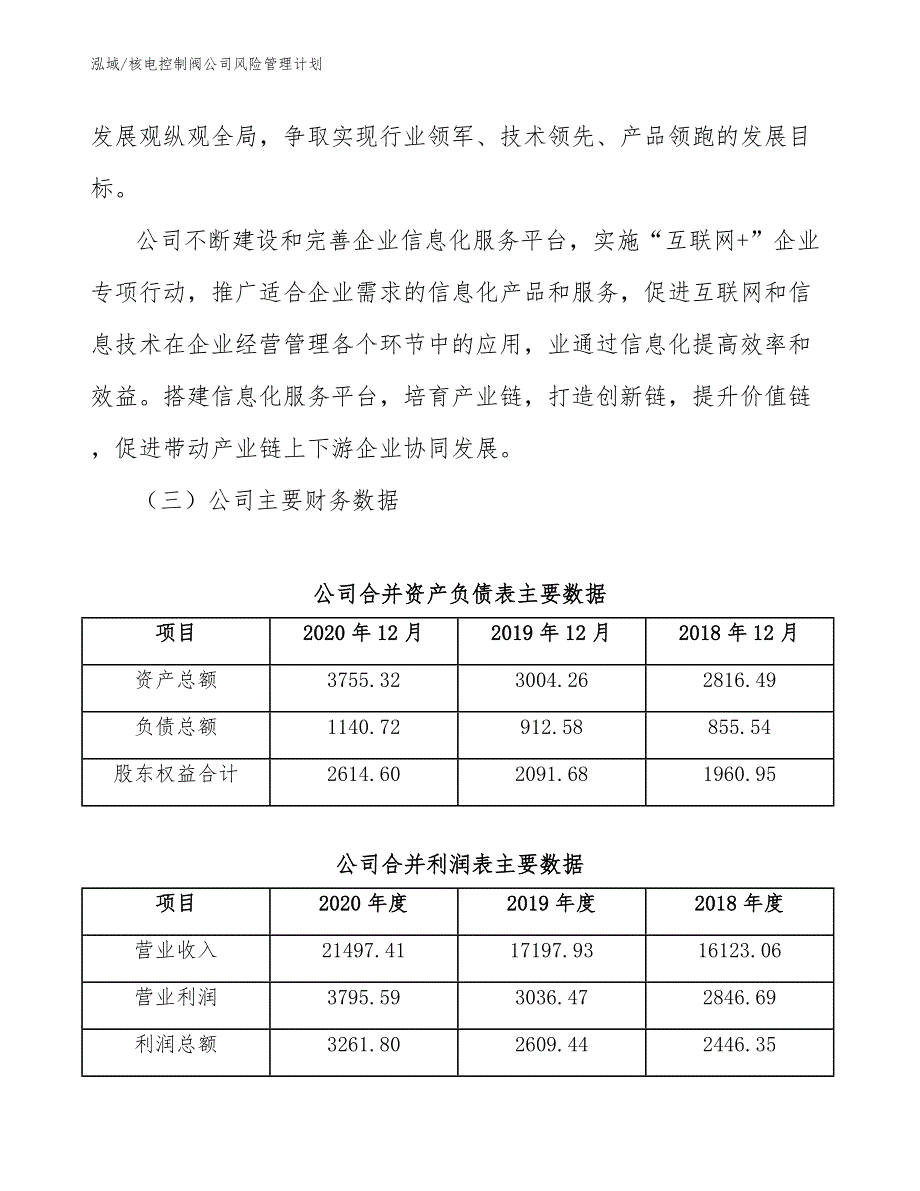 核电控制阀公司风险管理计划（范文）_第4页